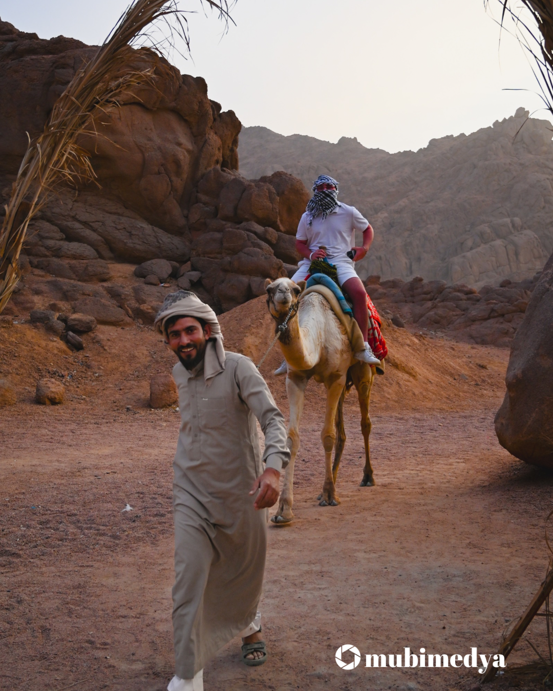 PİCART MISIR ÇÖLLERİNDE!